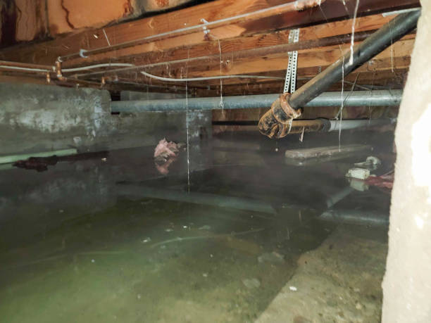 Best Ceiling water damage repair  in Grover Beach, CA