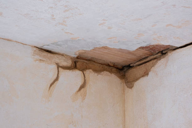 Grover Beach, CA Water damage restoration Company