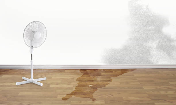  Grover Beach, CA Water damage restoration Pros
