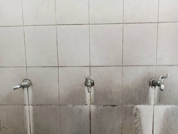 Best Mold removal after water damage  in Grover Beach, CA
