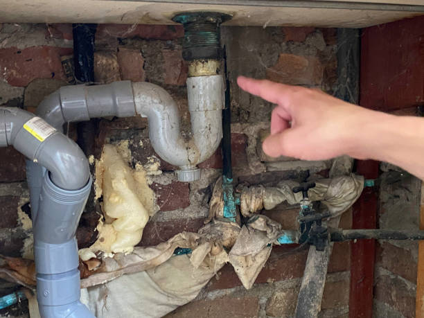 Best Mold removal after water damage  in Grover Beach, CA